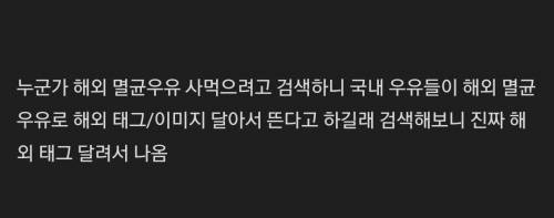 국내 우유가 안팔려 뿔난 유통업자들