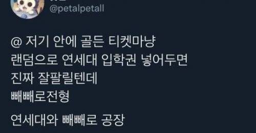 연세대와 빼빼로 공장의 비밀