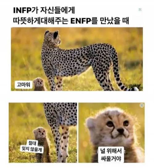 Infp특징