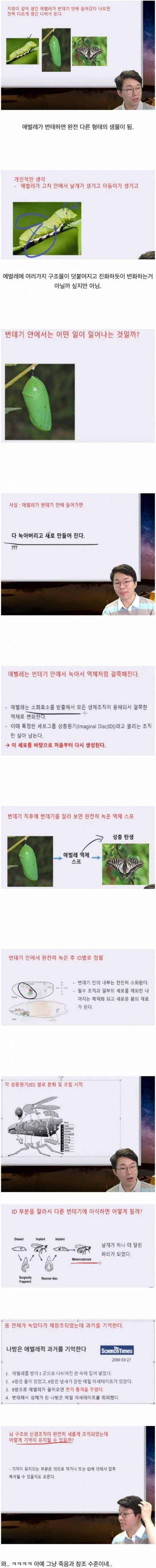 어메이징 변태 과정