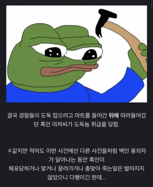 미국에서 벌어진 얼티밋 인종차별 사건