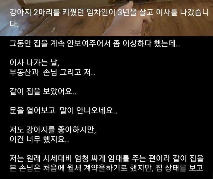 강아지 2마리 키우던 임차인 집상태..gif