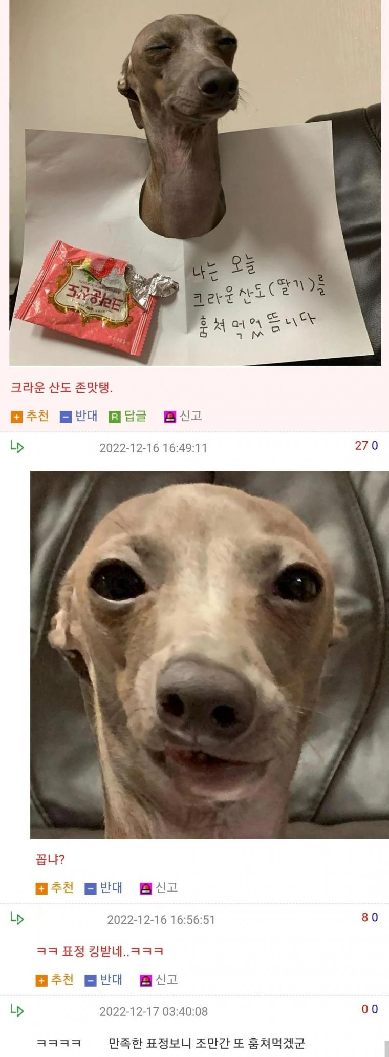 나는 오늘 크라운산도를 훔쳐 먹었뜸니다