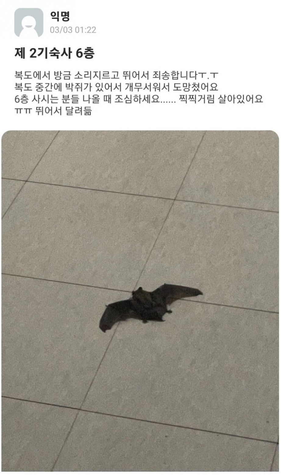 기숙사에서 박쥐 나온 모 대학.jpg