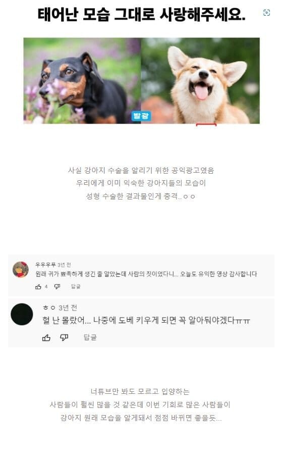 지하철 강아지 성형외과 광고.jpg