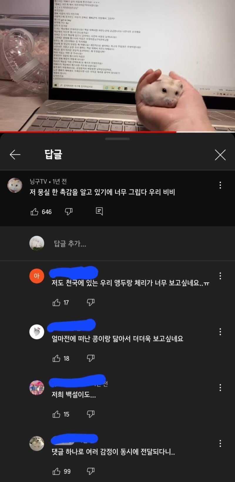 햄스터를 그리워하는 집사들.jpg