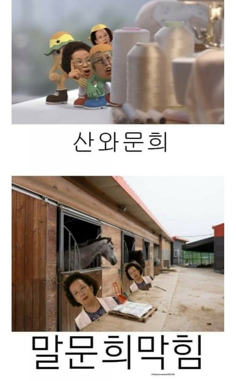 문희는 포도가 먹고찌픈데~