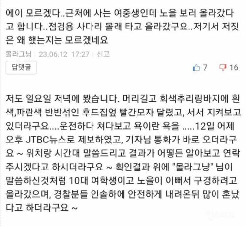 고속도로 방음터널 꼭대기에 목격된 것 정체 밝혀짐