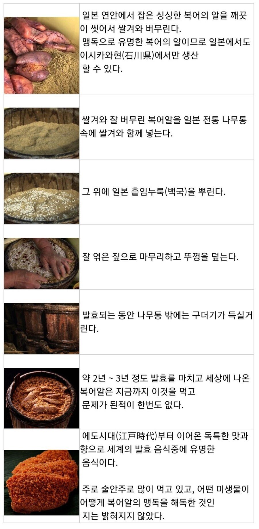 님들 복어알 이렇게 먹으면 안 죽음 ㅋㅋㅋㅋ