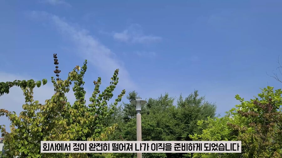 중소기업 7년 다니던 사람이 퇴사한 이유