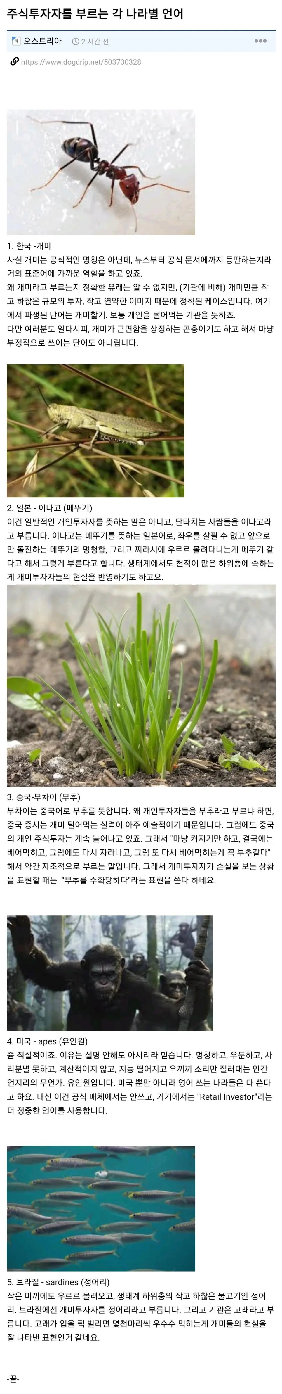 주식투자자를 부르는 각나라별 명칭