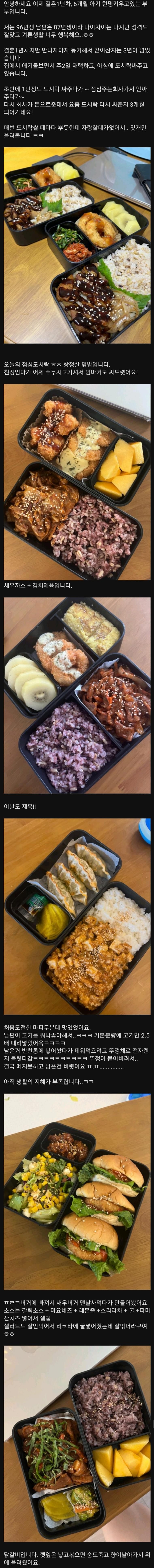 남편을 위해 도시락을 싸는 흔한 아내