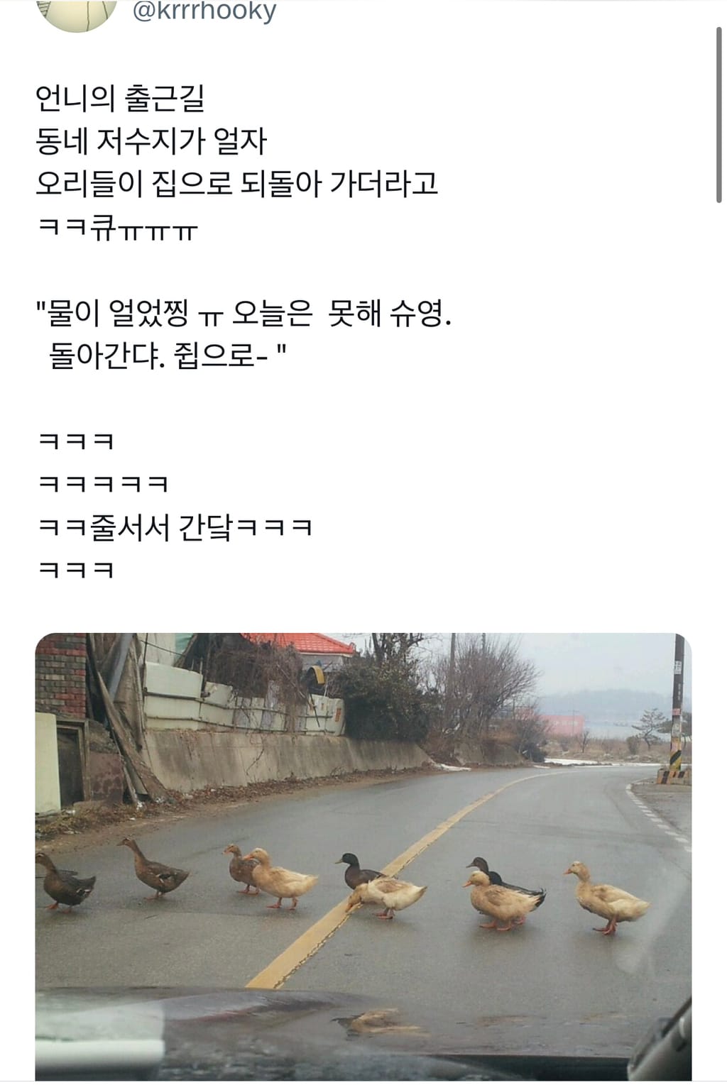 물 얼었다 집 가자