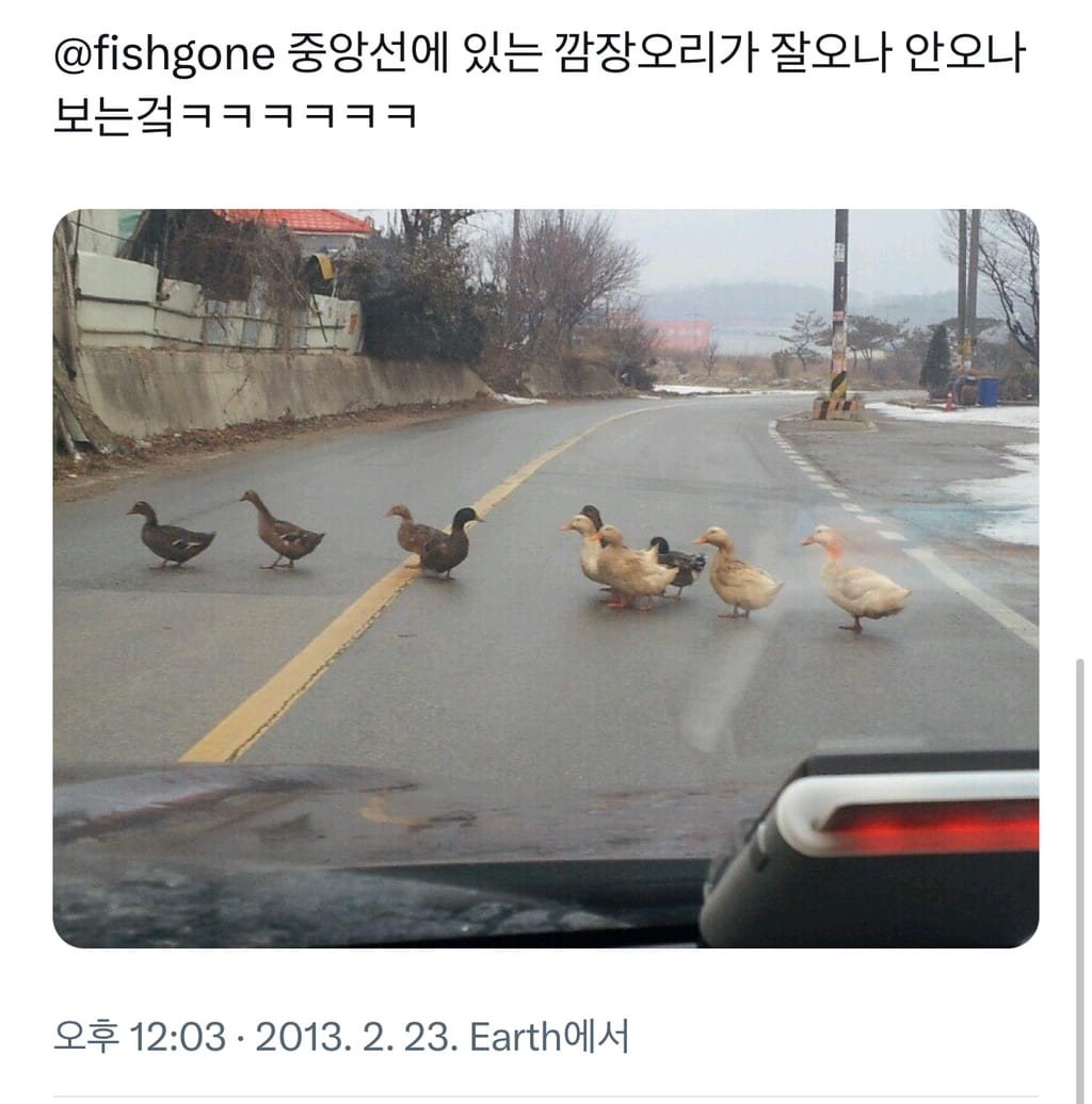 물 얼었다 집 가자