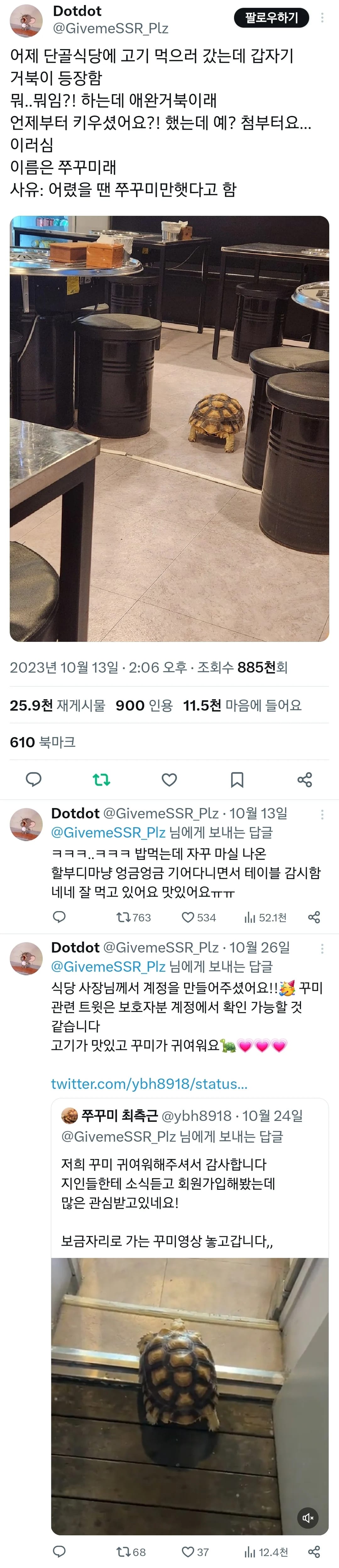 어제 단골식당에 고기 먹으러 갔는데 갑자기 거북이 등장함