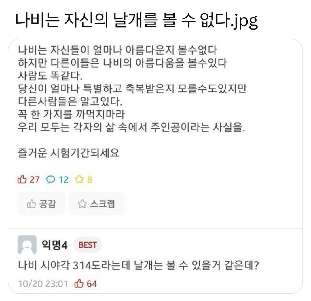 나비는 자신의 날개를 볼 수 없다