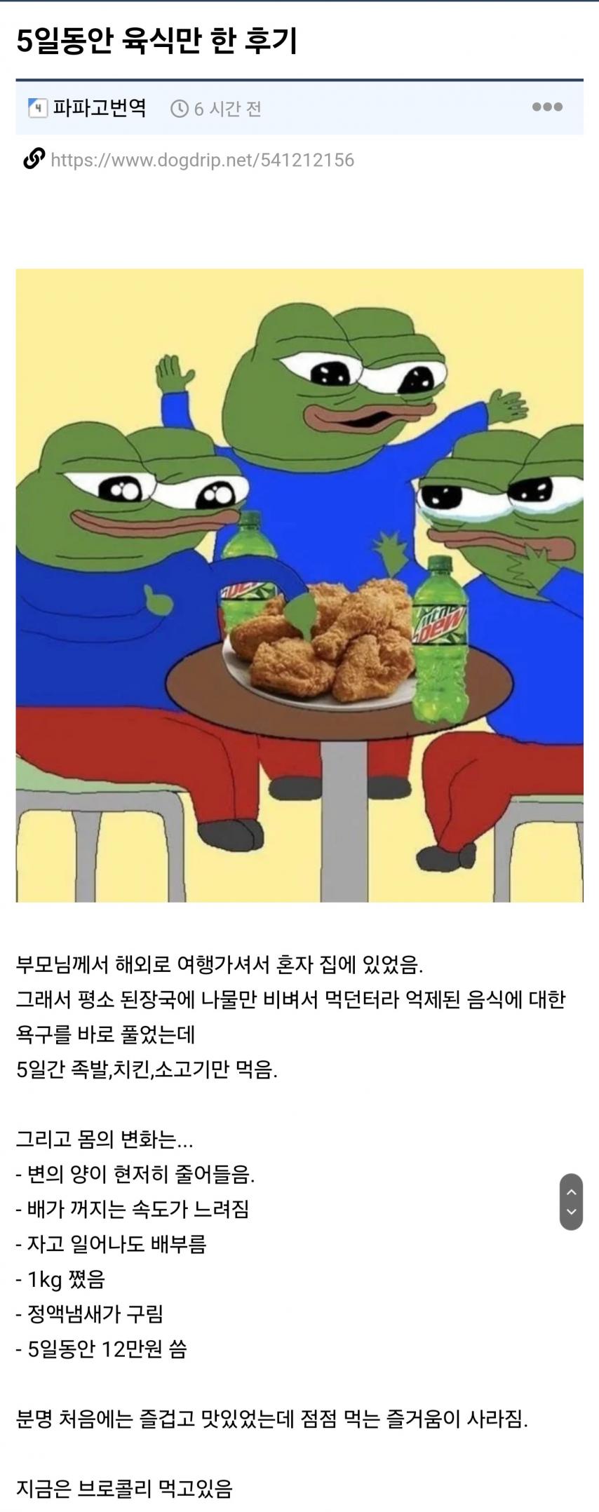 5일동안 육식만 한 후기.