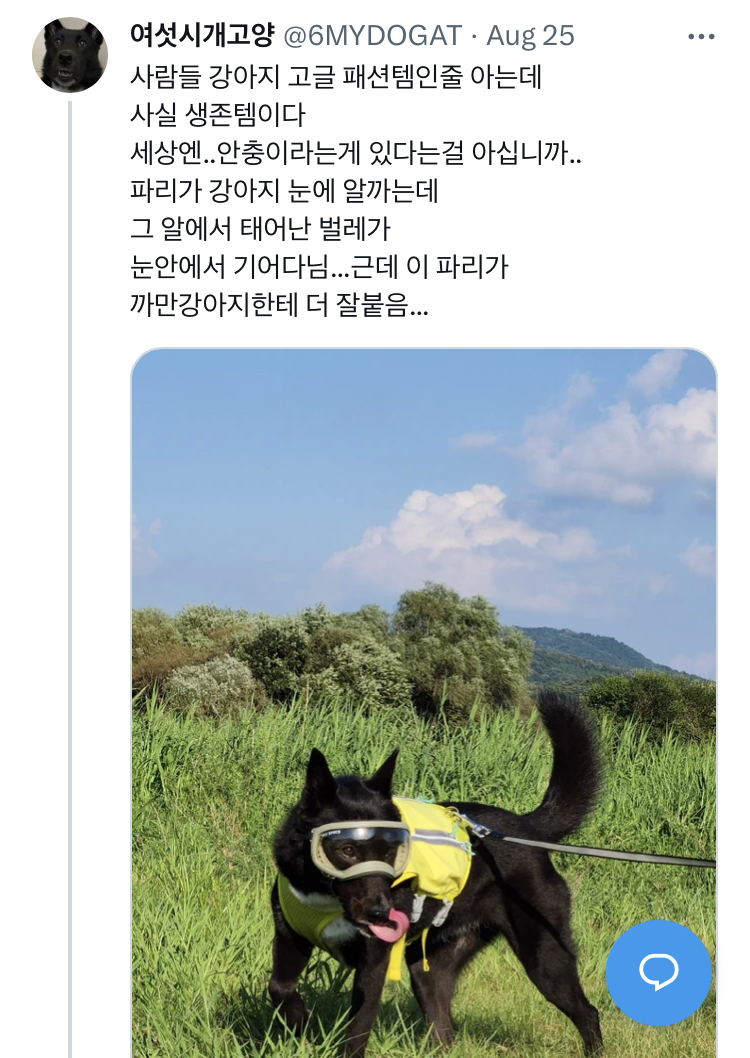 사람들 강아지 고글이 패션템인 줄 아는데.jpg