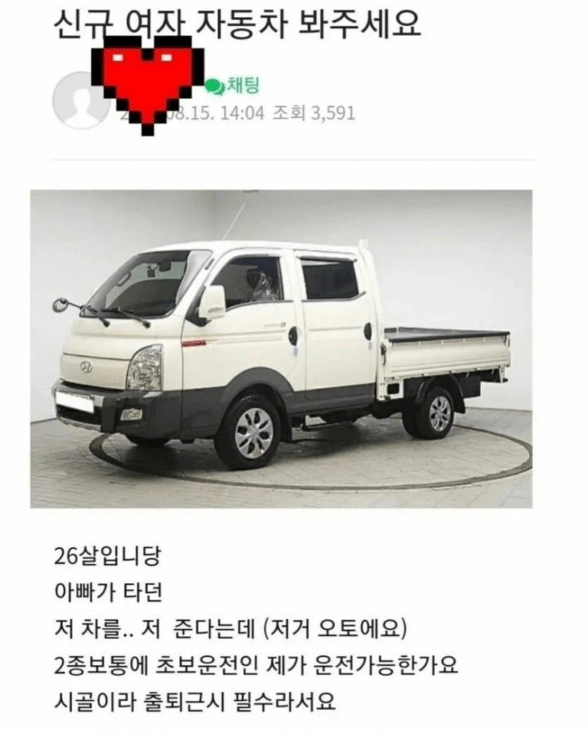 20대 여자 사회초년생 첫차