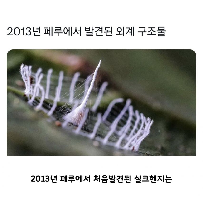 2013년 페루에서 발견된 외계 구조물