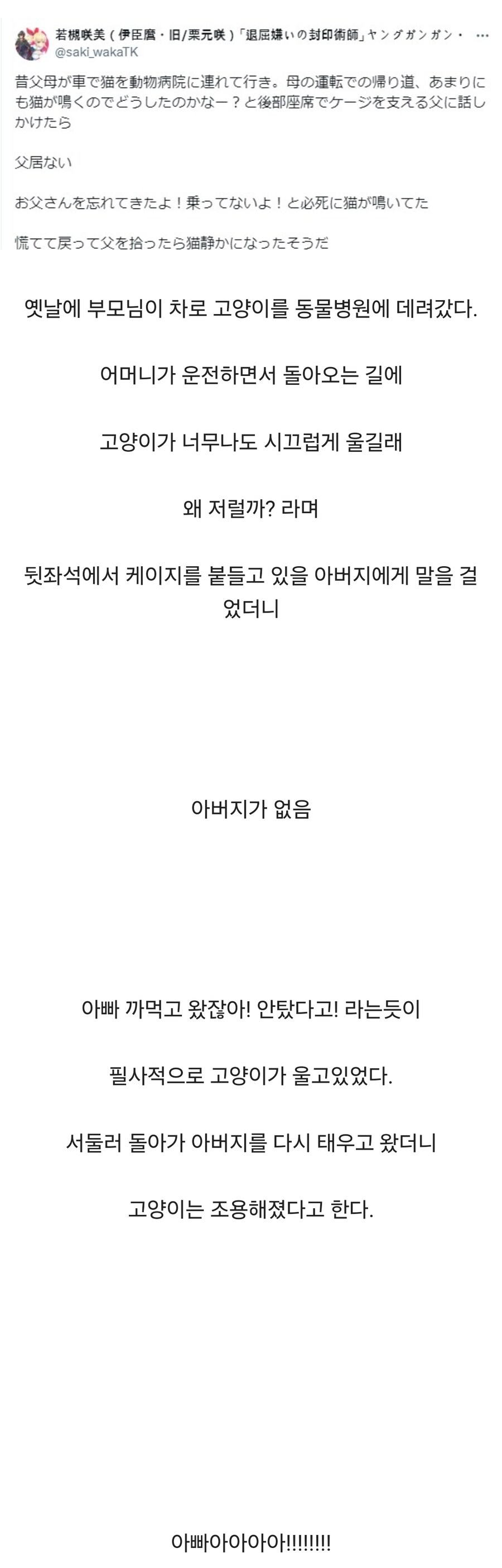 병원 갔다가 집에가는길에 고양이가 오열한 이유