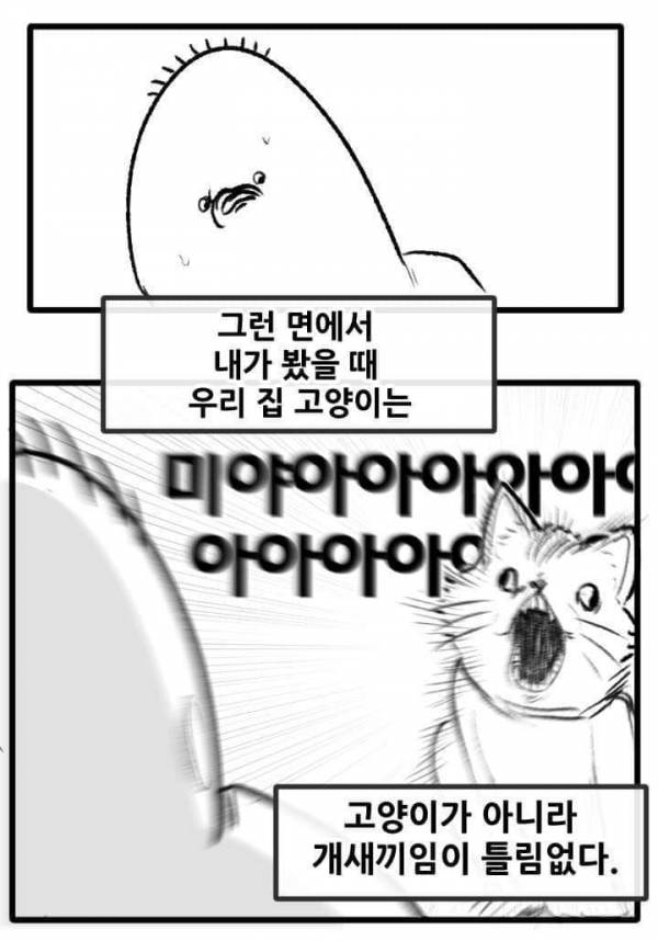 산책 가고 싶은 고양이 manhwa