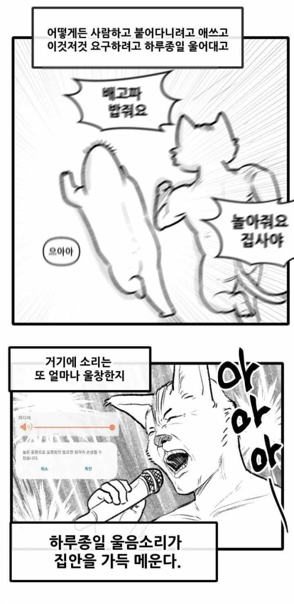 산책 가고 싶은 고양이 manhwa