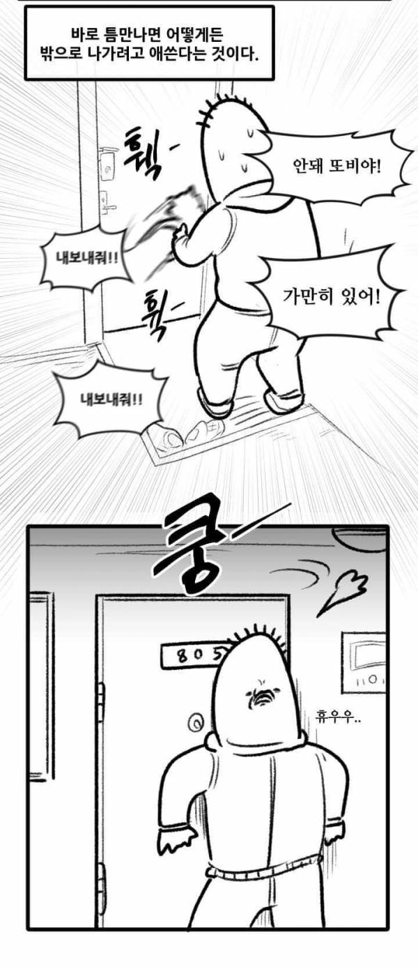 산책 가고 싶은 고양이 manhwa