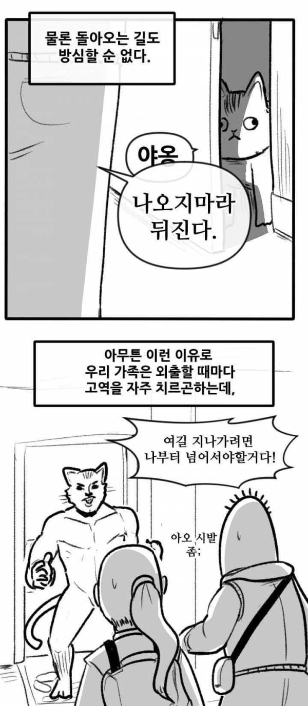 산책 가고 싶은 고양이 manhwa