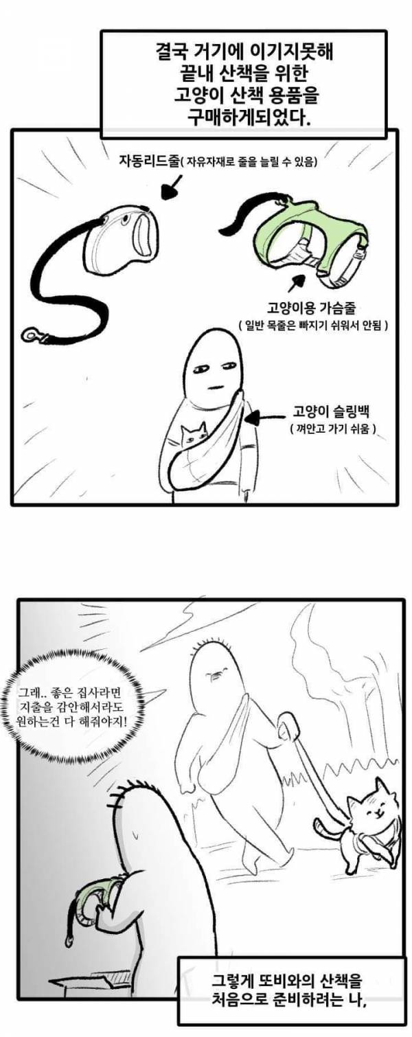 산책 가고 싶은 고양이 manhwa