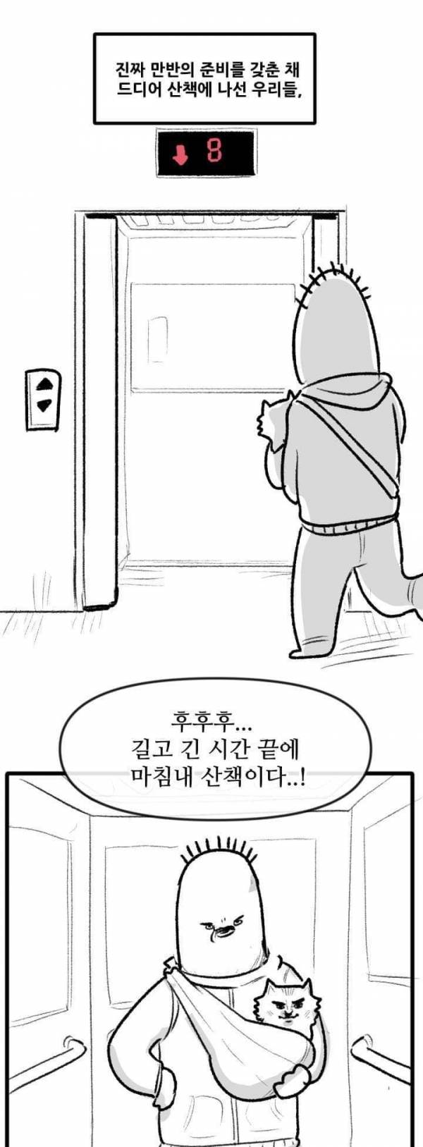 산책 가고 싶은 고양이 manhwa