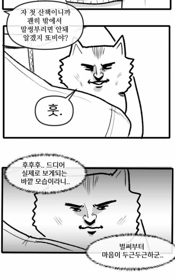 산책 가고 싶은 고양이 manhwa