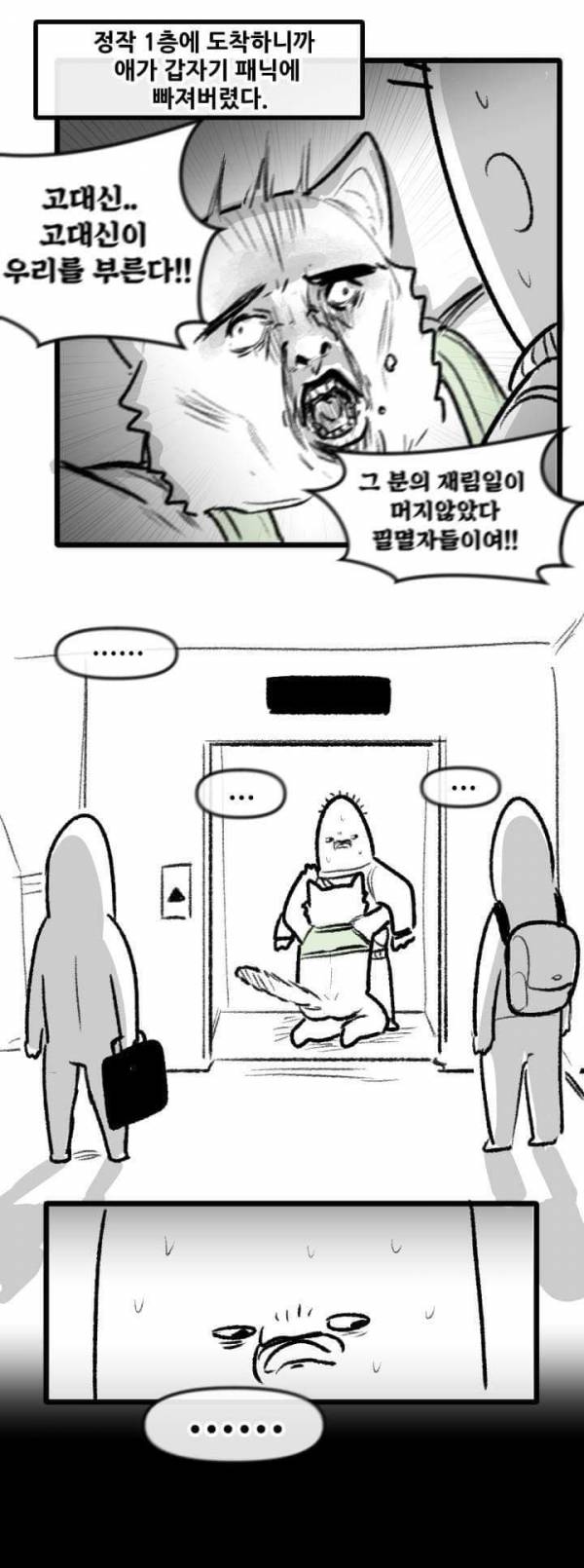 산책 가고 싶은 고양이 manhwa