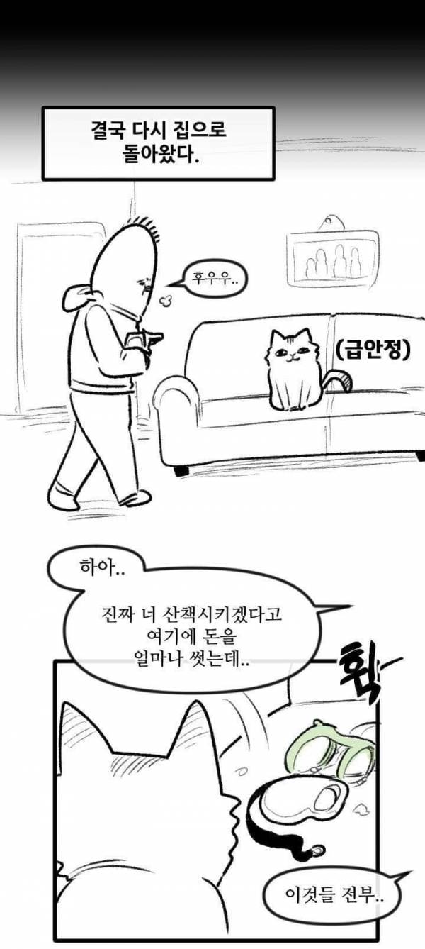 산책 가고 싶은 고양이 manhwa