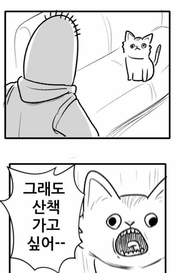 산책 가고 싶은 고양이 manhwa