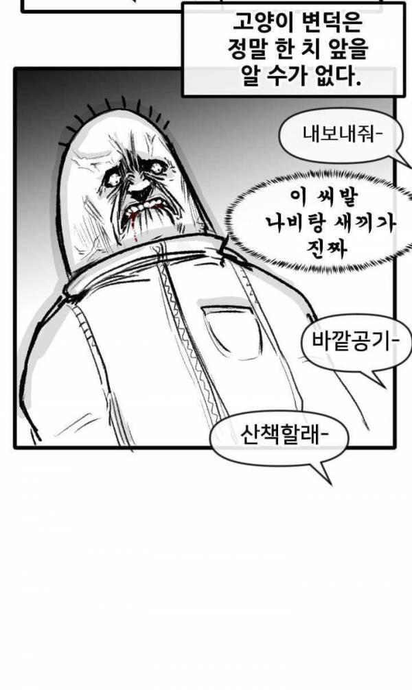 산책 가고 싶은 고양이 manhwa