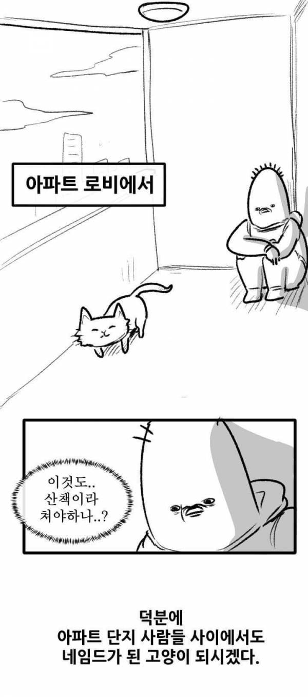 산책 가고 싶은 고양이 manhwa