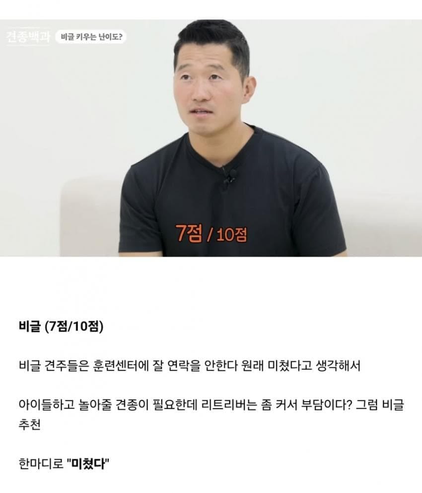 견종별 키우는 난이도