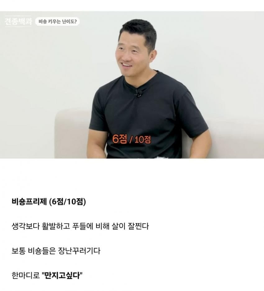 견종별 키우는 난이도