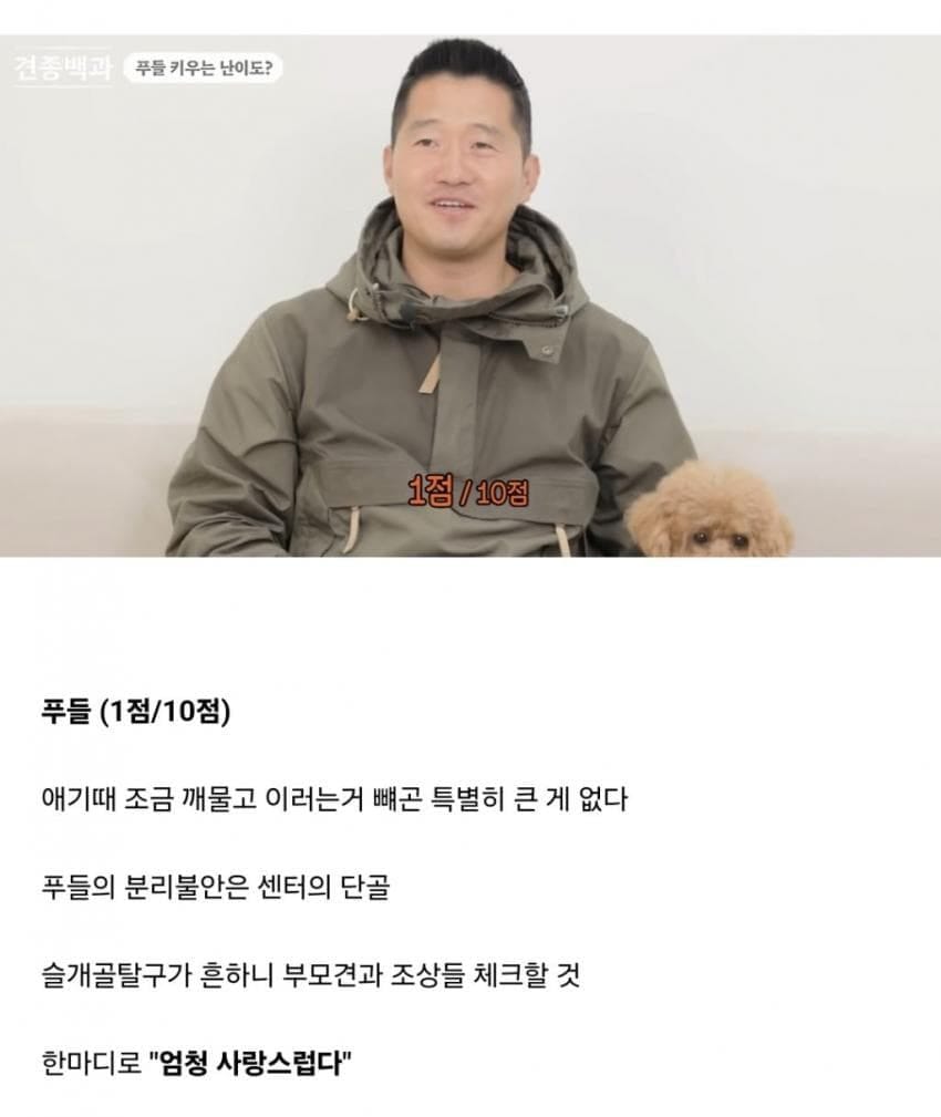 견종별 키우는 난이도