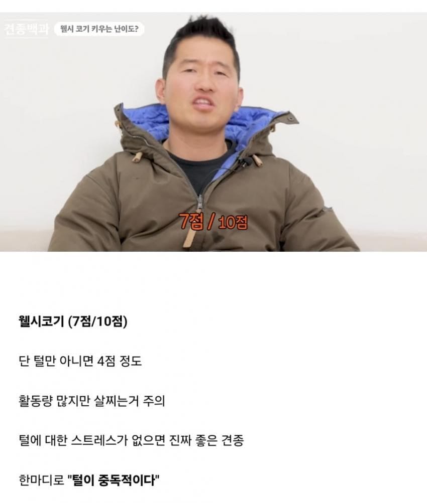 견종별 키우는 난이도