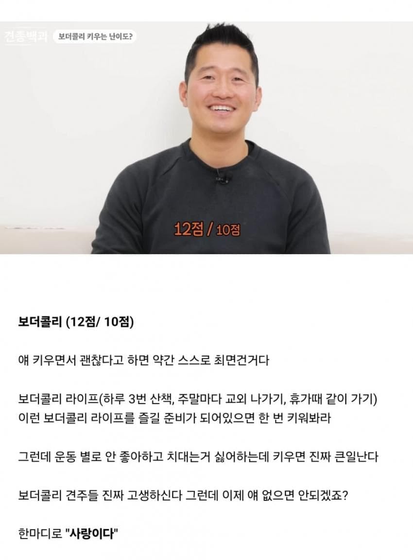 견종별 키우는 난이도