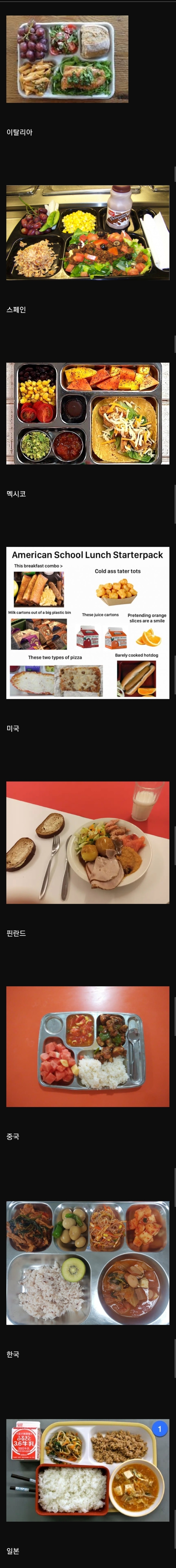 각 나라의 학교급식들