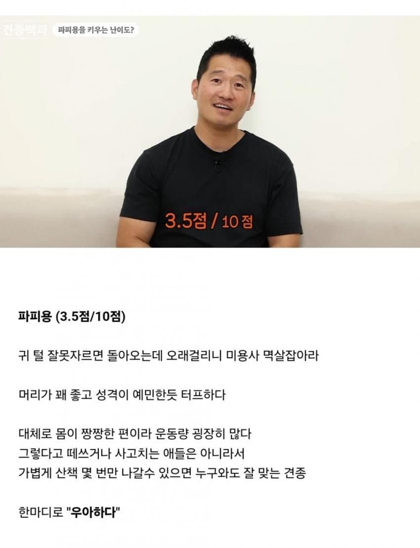 견종별 키우는 난이도