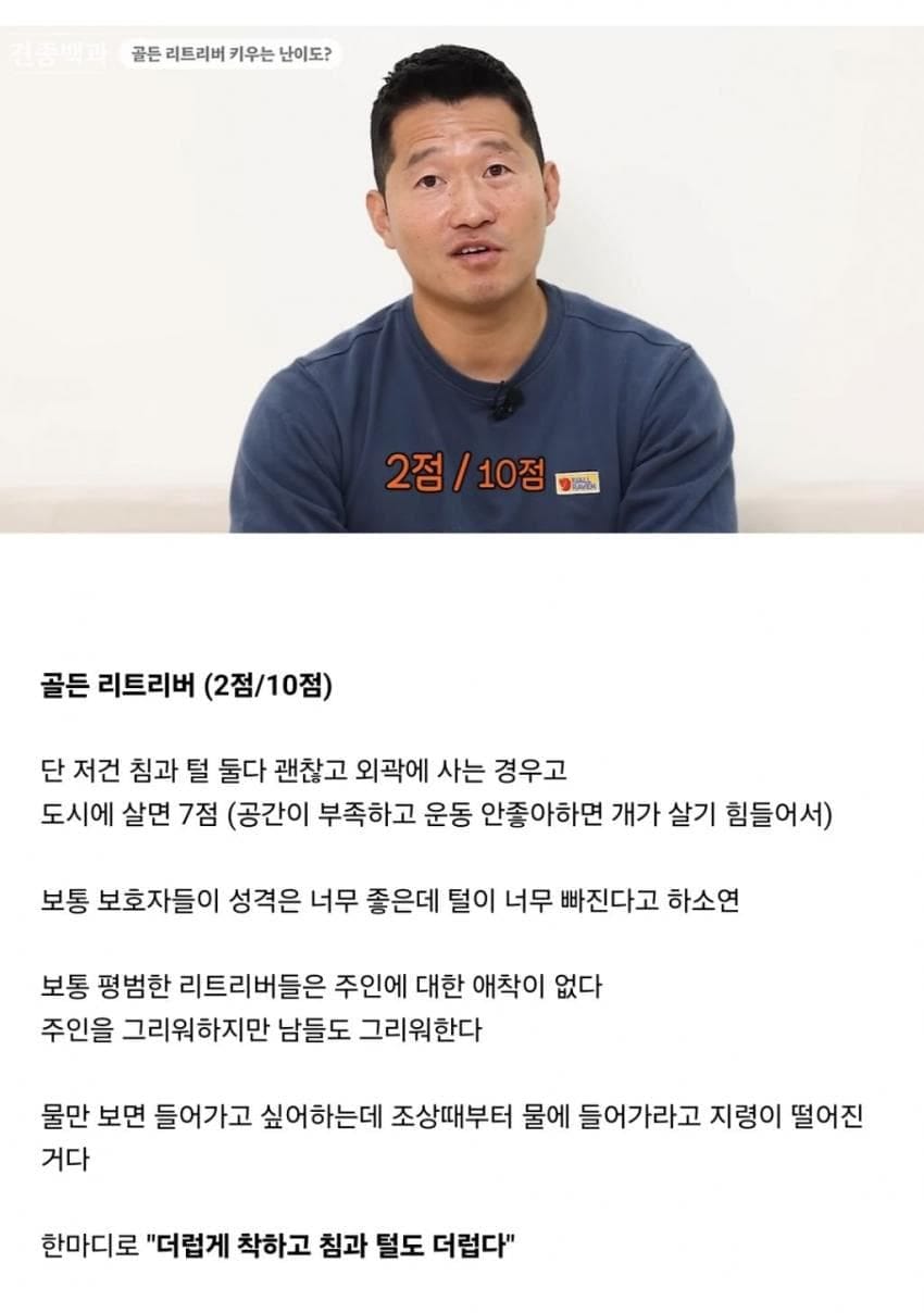 견종별 키우는 난이도