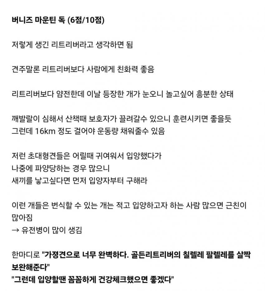 견종별 키우는 난이도