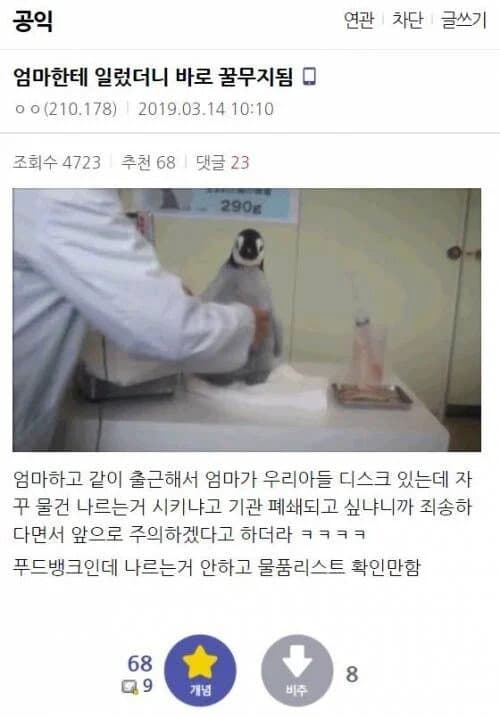 엄마모시고 근무지에 간 공익.jpg