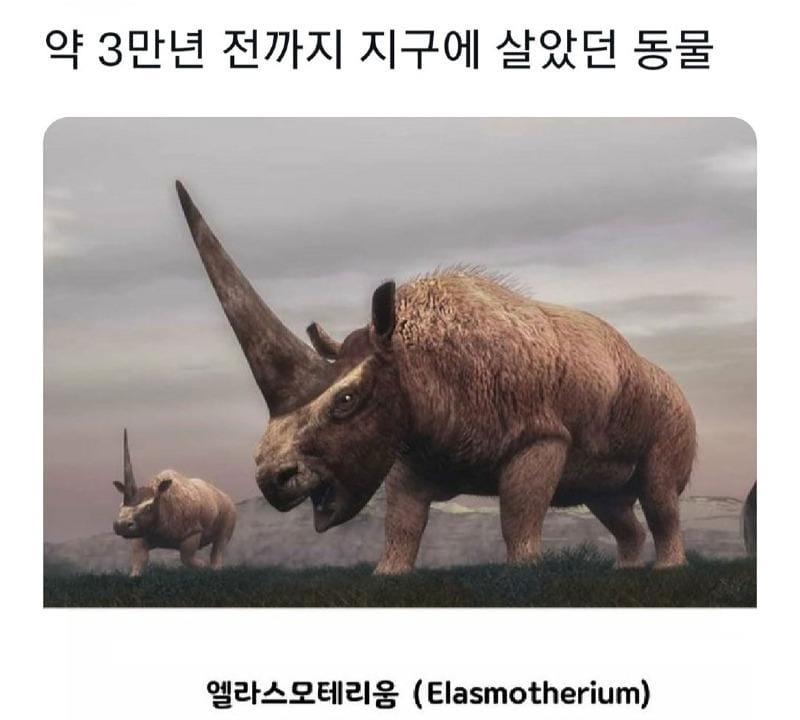 약 3만년 전까지 지구에 살았던 동물