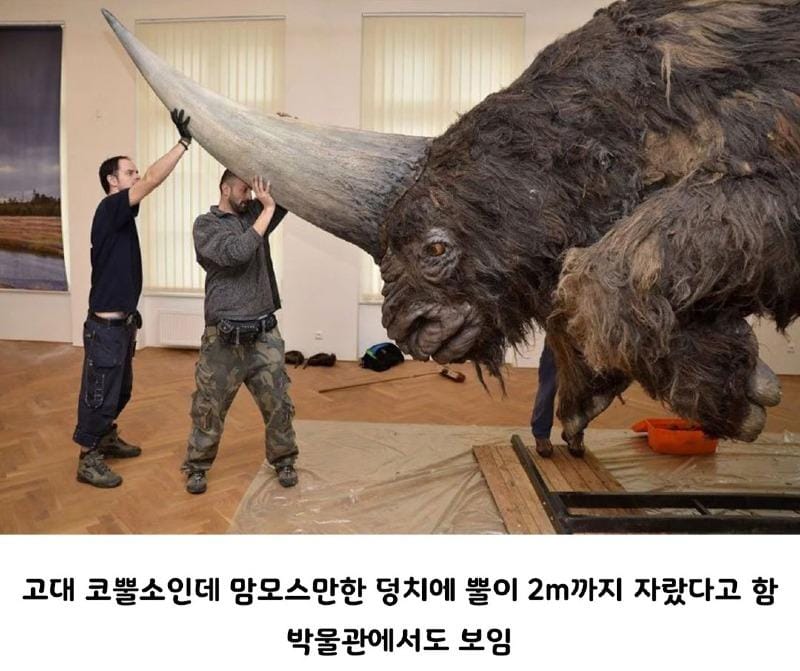 약 3만년 전까지 지구에 살았던 동물