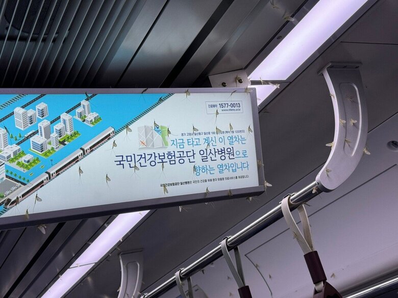 한강이 깨끗해져서 서울 지하철에 출몰중인 벌레.jpg